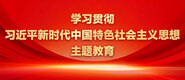 超爽尻屄视频网站学习贯彻习近平新时代中国特色社会主义思想主题教育_fororder_ad-371X160(2)